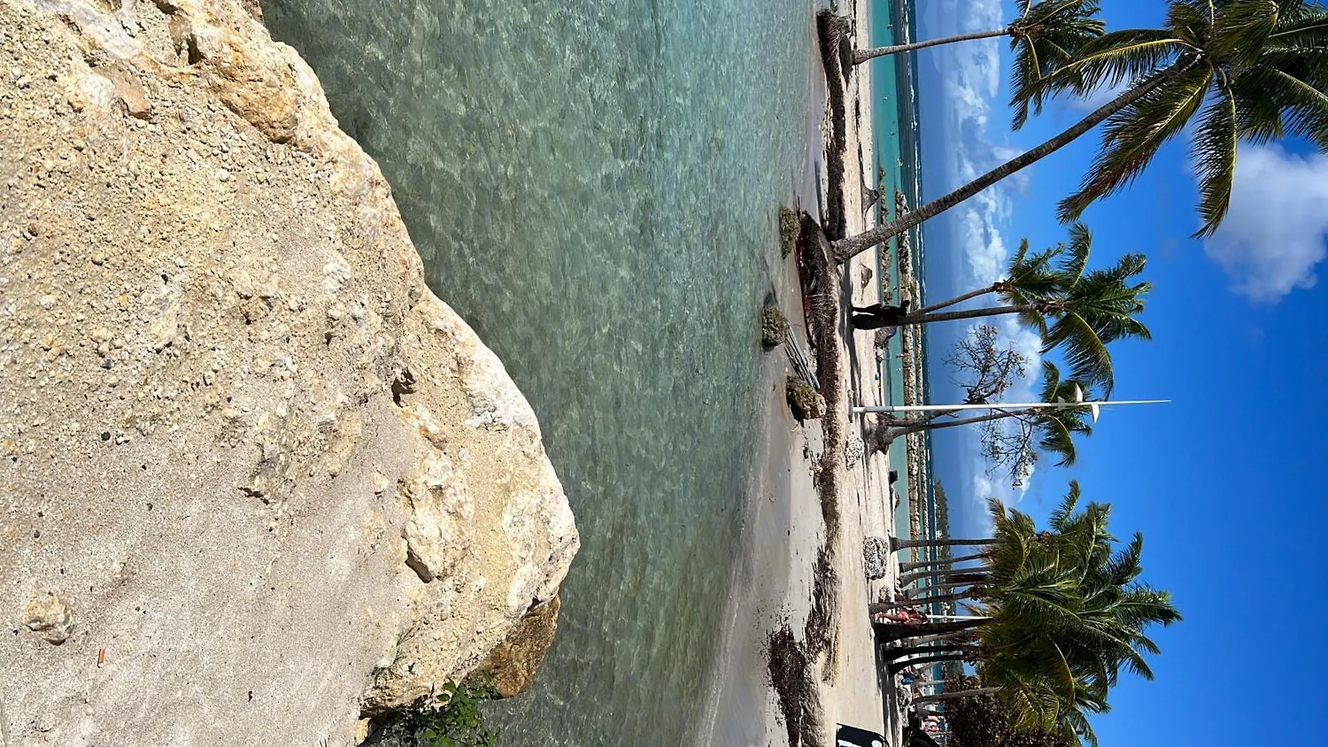 Apartment L Etoile De Mer Sainte-Anne