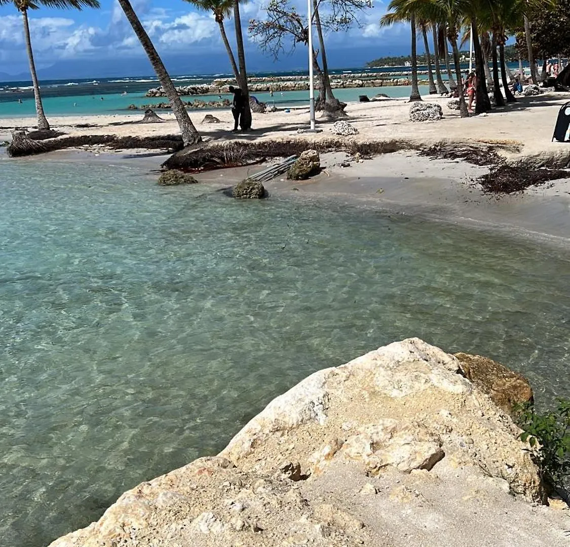 L Etoile De Mer Sainte-Anne  Sainte-Anne (Grande-Terre)